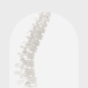 Spine